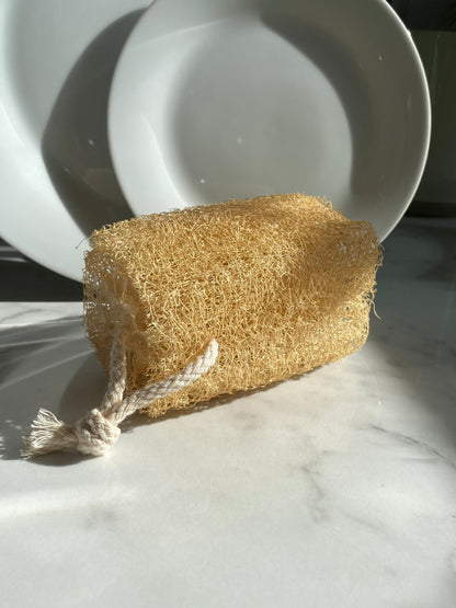 0wastecleaning sponge Dish sponge - home compostable zero waste-sustainable-refill tablet  magasin zero dechet a Montreal vegan cleaner-pet friendly cleaner